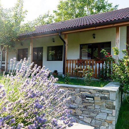 Walnut Cottage 1 Deredzhik-Koy Dış mekan fotoğraf