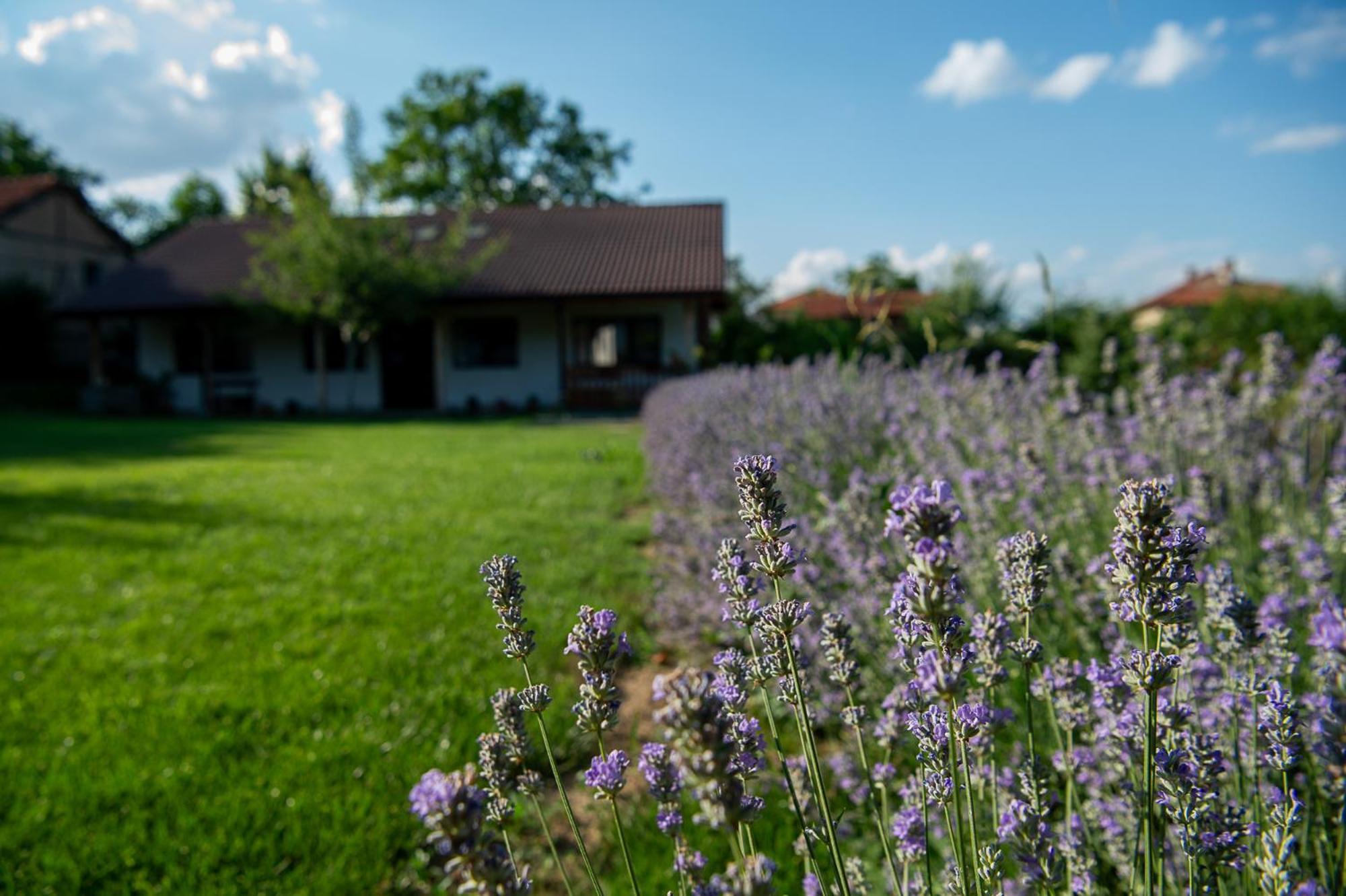 Walnut Cottage 1 Deredzhik-Koy Dış mekan fotoğraf