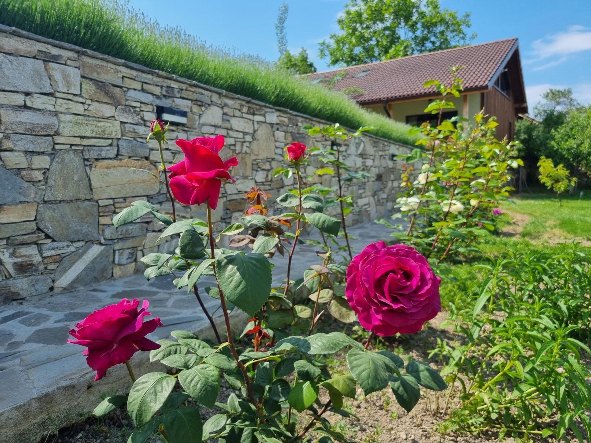 Walnut Cottage 1 Deredzhik-Koy Dış mekan fotoğraf