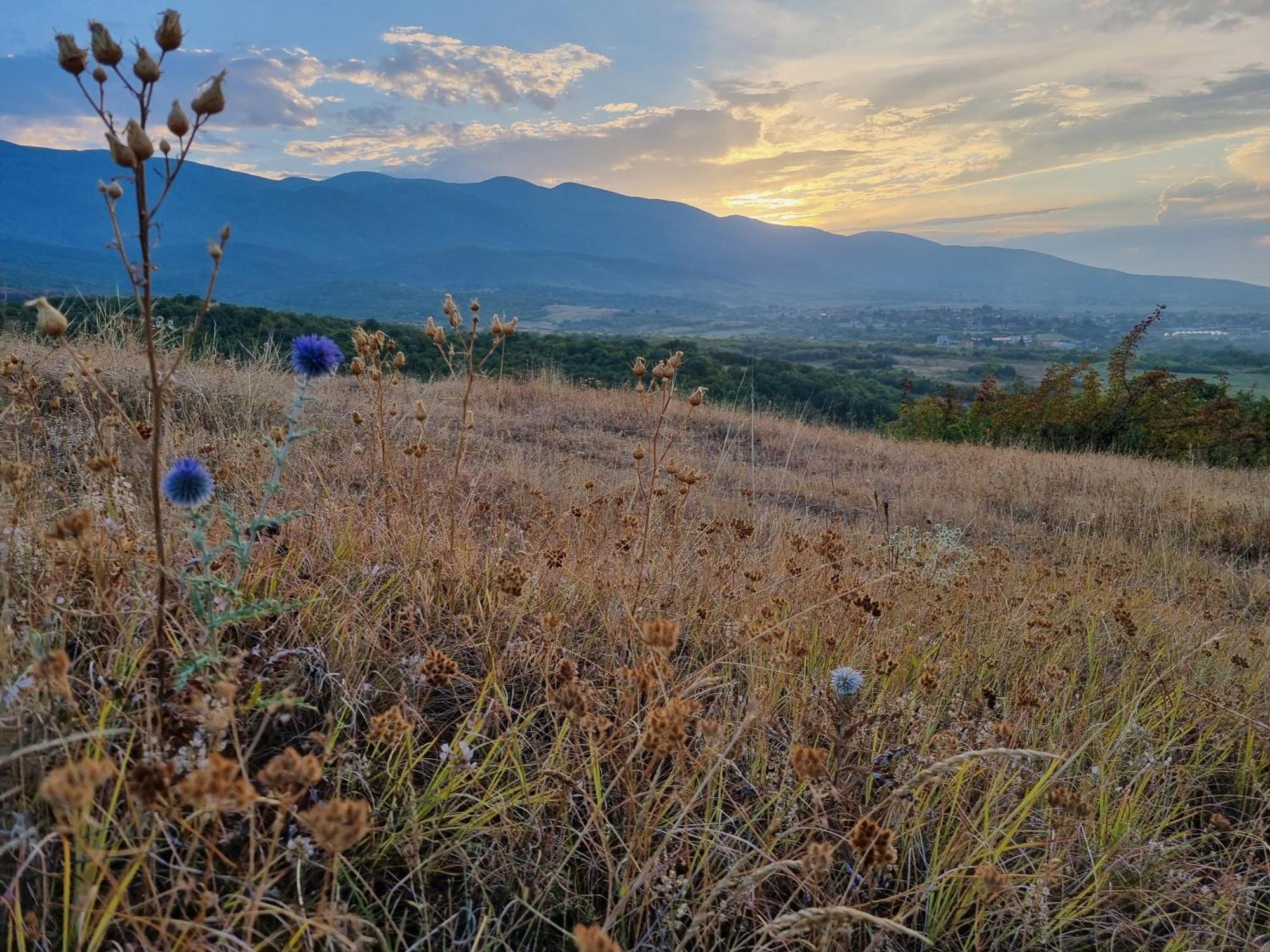 Walnut Cottage 1 Deredzhik-Koy Dış mekan fotoğraf